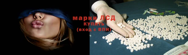 сатива Армянск