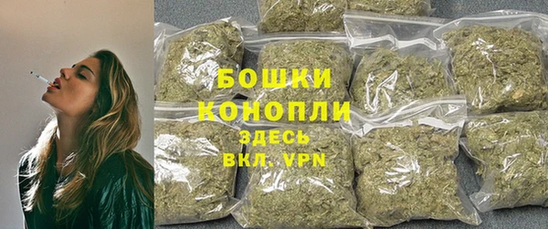 соль ск Арсеньев