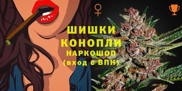 СК Аркадак