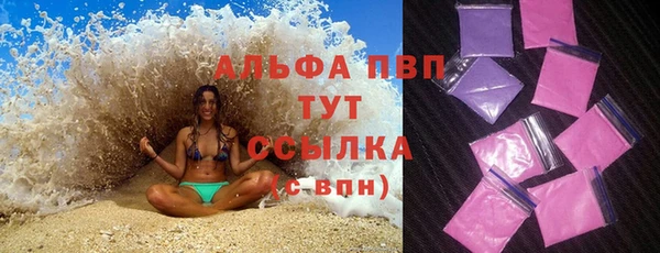 сатива Армянск