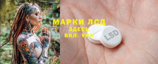СК Аркадак